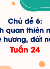 Chủ đề 6Cảnh quan thiên nhiên quê hương, đất nướcTuần 24